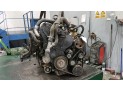 MOTOR CON ACCESORIOS Y CAJA DE CAMBIOS PEUGEOT PART CBESP.P.LAT.DW8 2001