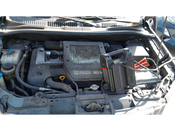INTERRUPTOR LEVALUNAS TRASERO DERECHO KIA CARENS 2003