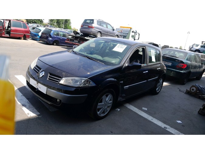 MANDO ELEVALUNAS TRASERO IZQUIERDO RENAULT MÉGANE 2004