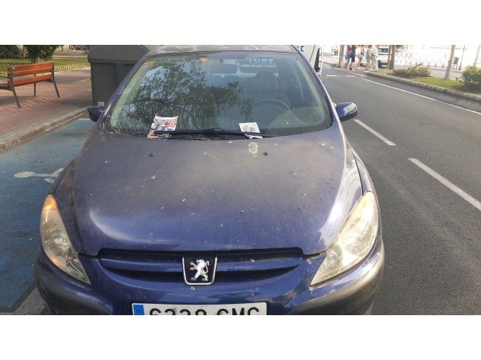 Radiador motor PEUGEOT 307 2003