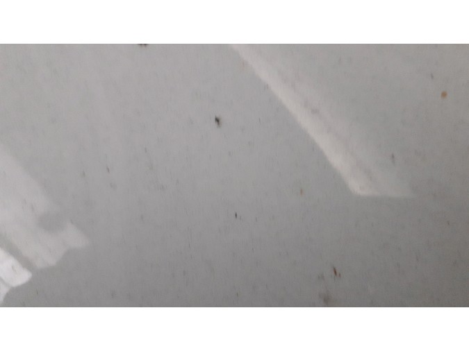 ASIENTO DELANTERO DERECHO OPEL CORSA 2014