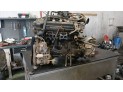 ALTERNADOR NISSAN ALMERA 2000