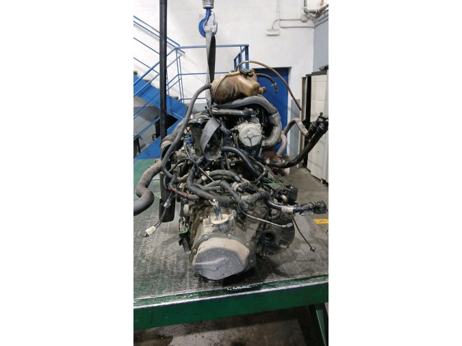 ALTERNADOR PEUGEOT PART CBESP.P.LAT.DW8 2001