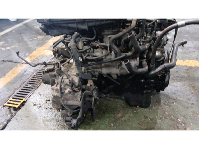 ALTERNADOR NISSAN PRIMERA 1998