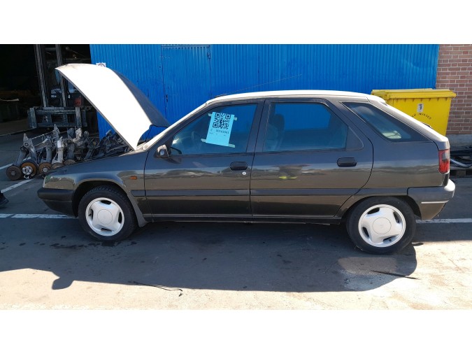 PUERTA TRASERA IZQUIERDA CITROEN ZX 1995