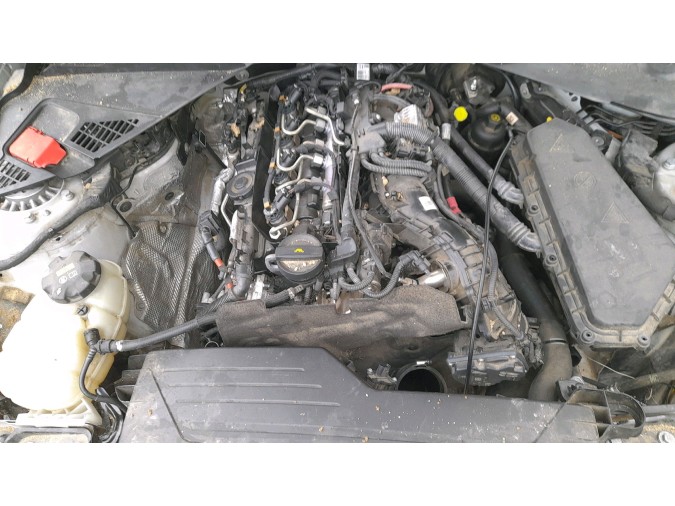 PILOTO TRASERO IZQUIERDO BMW 218D 2017