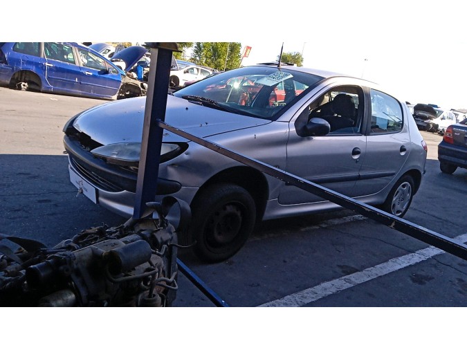 ELEVALUNAS TRASERO DERECHO PEUGEOT 206 2000