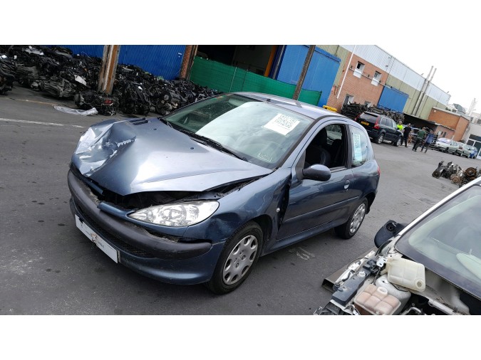 CERRADURA CAPO PEUGEOT 206 2005