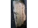 PANEL DELANTERO FORD FOCUS 2001