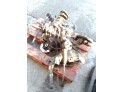 PINZA FRENO DELANTERA DERECHA PEUGEOT 206 2000