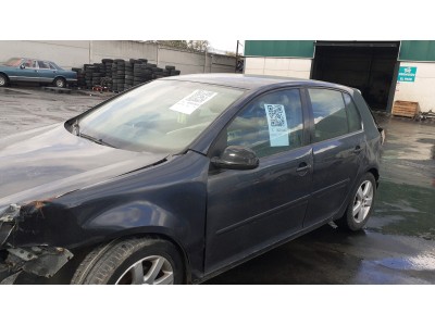 Radiador motor VOLKSWAGEN GOLF 2004