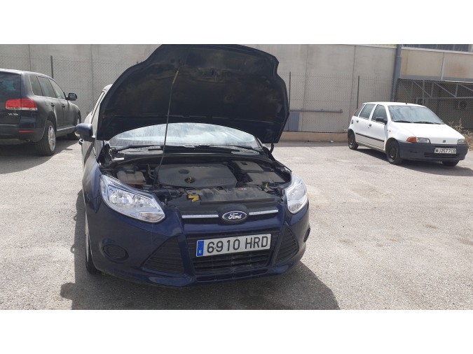 CINTURON SEG.TR.D. FORD FOCUS 2013