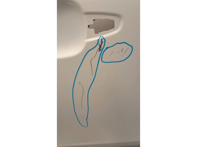 PUERTA DELANTERA DERECHA CITROEN C4 BLANCA 2022