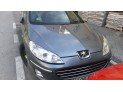 ELEVALUNAS TRASERO IZQUIERDO PEUGEOT 407 2010