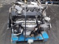 Motor color Verde FIAT STILO 2001