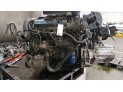 CAJA CAMBIOS KIA CARNIVAL 2003