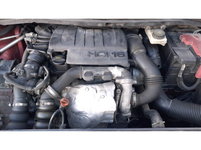 ELEVALUNAS TRASERO DERECHO CITROEN C4 2009