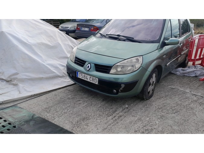 PUERTA DELANTERA DERECHA RENAULT MÉGANE SCÉNIC 2004