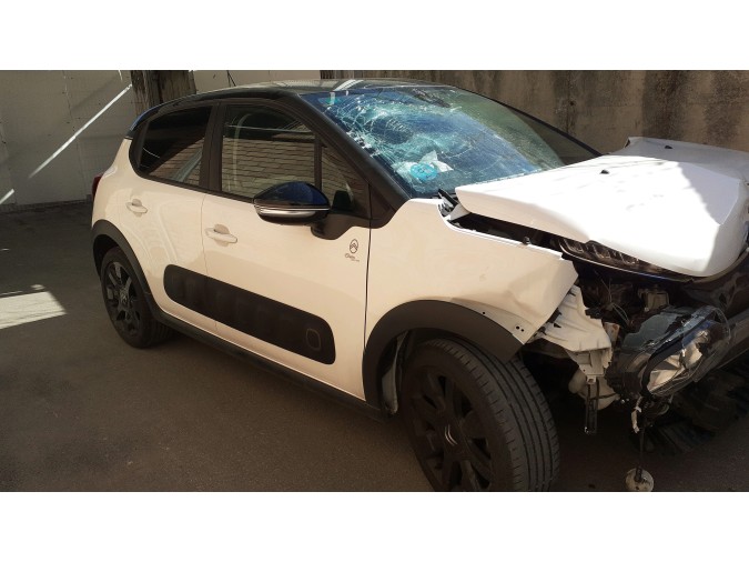 GUARDAPOLV.PAL.CAMB. CITROEN C3 2019
