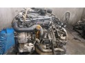 Motor VOLKSWAGEN GOLF 2006