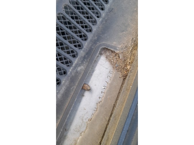 Cerradura guantera AUDI A3 2000