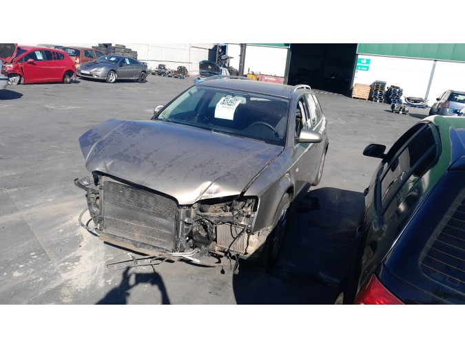 MANGUETA DELANTERA IZQUIERDA AUDI A4 2005