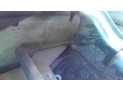 PARAGOLPES TRASERO RENAULT KOLEOS 2009
