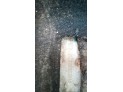 ELEVALUNAS DELANTERO DERECHO FORD FOCUS C-MAX 2004