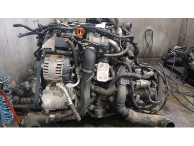 Motor VOLKSWAGEN POLO 2010