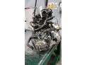 CINTURON SEG.DL.D. RENAULT MÉGANE 2007