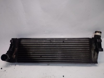 Intercooler RENAULT MEGANE 2004
