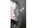 CERRADURA PUERTA TRASERA IZQUIERDA FORD FOCUS 2010