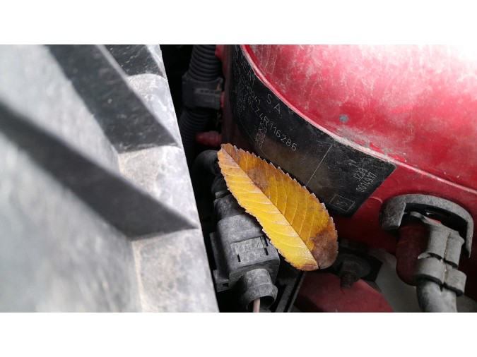 CERRADURA CAPO SEAT IBIZA 2004
