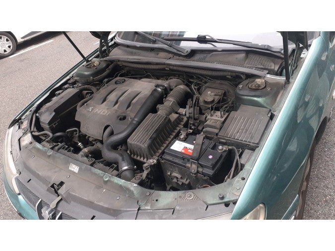 FARO ANTINIEBLA DERECHO PEUGEOT 406 2002