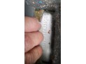 ELEVALUNAS TRASERO DERECHO FORD FOCUS 1999