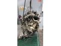 Motor CITROEN XSARA PICASSO 2005