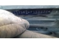 MANDO ELEVALUNAS TRASERO IZQUIERDO VOLKSWAGEN PASSAT 2003
