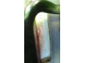 FARO ANTINIEBLA DELANTERO DERECHO KIA RIO 2007