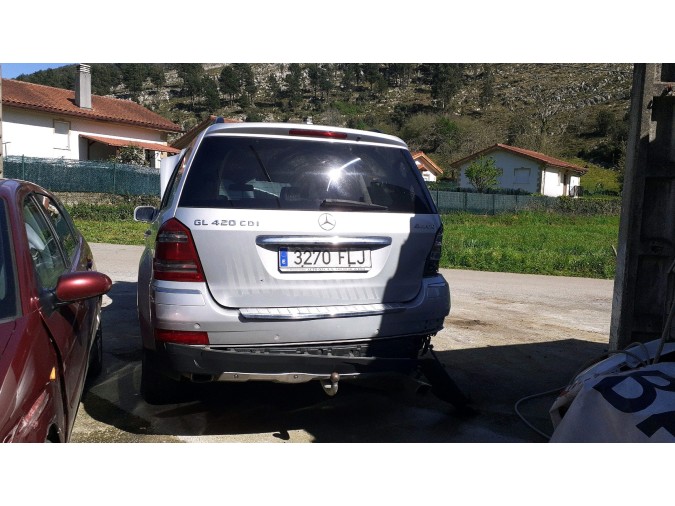 GATO-SO MERCEDES GL 420 CDI 4MATIC 2006