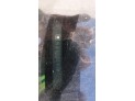 AIRBAG SUPERIOR LATERAL IZQUIERDO CHEVROLET CRUZE 2011