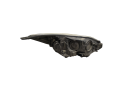 FARO DELANTERO IZQUIERDO FORD FOCUS 2011