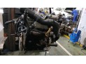 Motor VOLKSWAGEN GOLF 2000