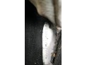 CINTURON SEG.DL.D. FORD FIESTA 2009
