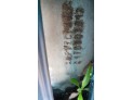 MECANICA TRASERA	 CITROEN JUMPER 2002