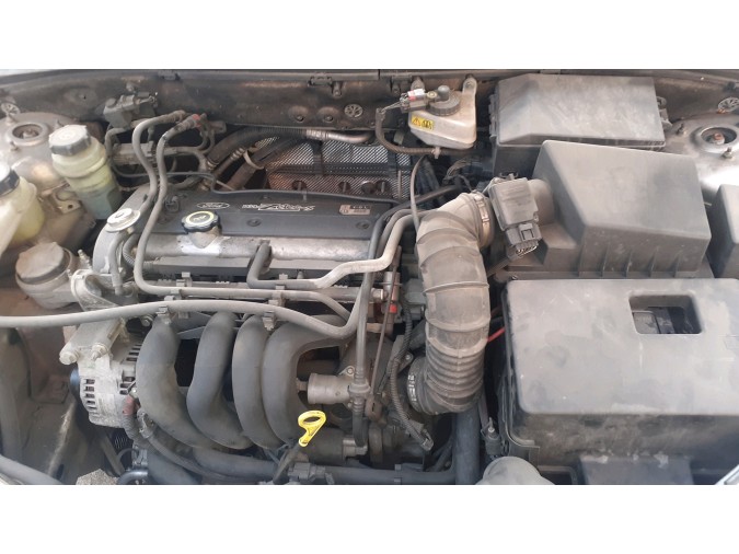ELEVALUNAS TRASERO DERECHO FORD FOCUS 2000