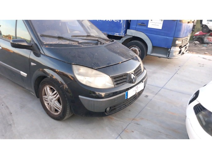 Radiador motor RENAULT MÉGANE SCÉNIC 2005