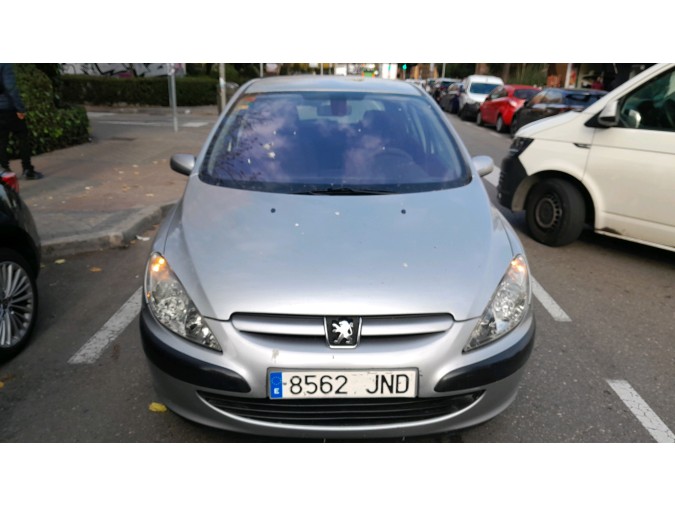 MANGUETA DELANTERA DERECHA  PEUGEOT 307 2001
