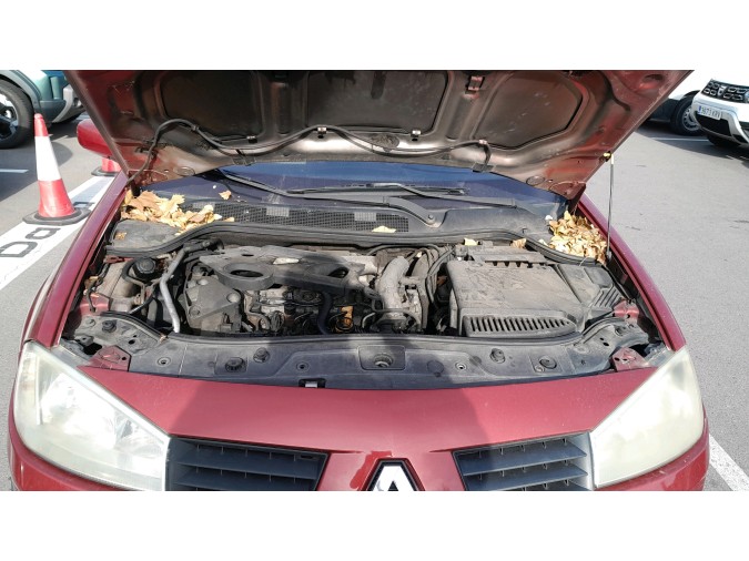 ELEVALUNAS DELANTERO DERECHO RENAULT MÉGANE 2002