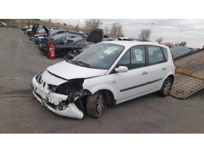 MANDO PORTON RENAULT MÉGANE SCÉNIC 2009