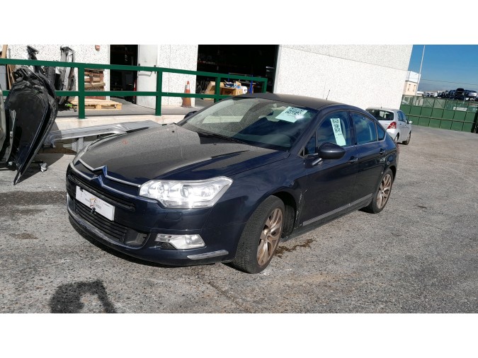 MOLDURA DE LUNA IZQ SO CITROEN C5 2008